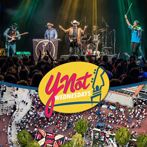 More Info for Ynot Wednesday feat. The Nashville Nights Band