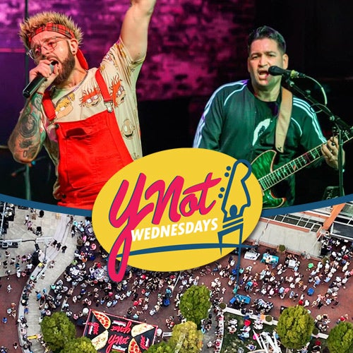 More Info for Ynot Wednesday feat. WOAH! 90s Band